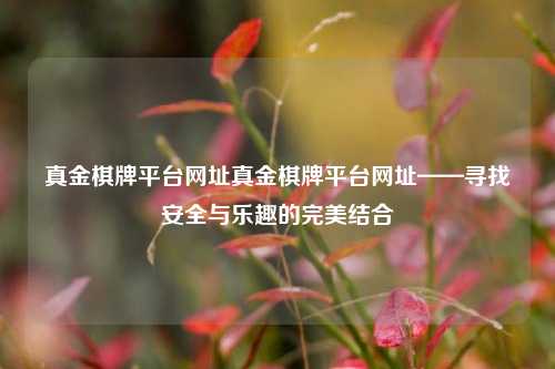 真金棋牌平台网址真金棋牌平台网址——寻找安全与乐趣的完美结合