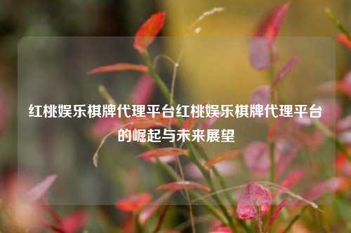 红桃娱乐棋牌代理平台红桃娱乐棋牌代理平台的崛起与未来展望
