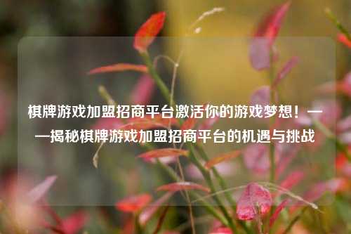 棋牌游戏加盟招商平台激活你的游戏梦想！——揭秘棋牌游戏加盟招商平台的机遇与挑战