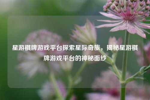 星游棋牌游戏平台探索星际奇旅，揭秘星游棋牌游戏平台的神秘面纱