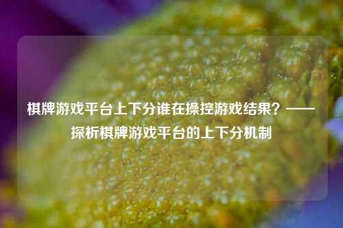 棋牌游戏平台上下分谁在操控游戏结果？——探析棋牌游戏平台的上下分机制
