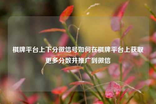 棋牌平台上下分微信号如何在棋牌平台上获取更多分数并推广到微信