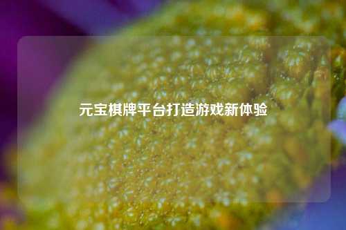 元宝棋牌平台打造游戏新体验