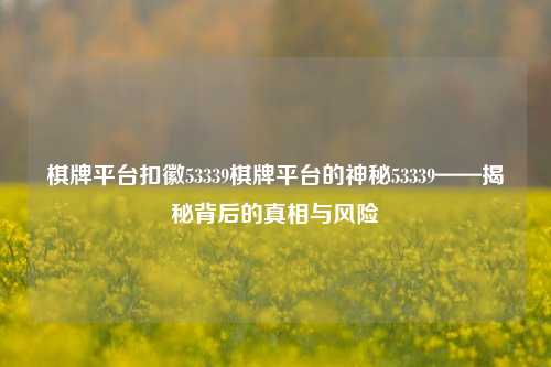 棋牌平台扣徽53339棋牌平台的神秘53339——揭秘背后的真相与风险