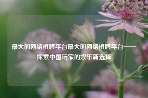 最大的网络棋牌平台最大的网络棋牌平台——探索中国玩家的娱乐新选择