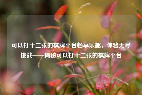 可以打十三张的棋牌平台畅享乐趣，体验无尽挑战——揭秘可以打十三张的棋牌平台