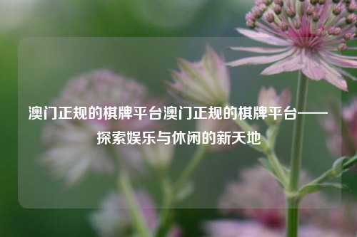 澳门正规的棋牌平台澳门正规的棋牌平台——探索娱乐与休闲的新天地