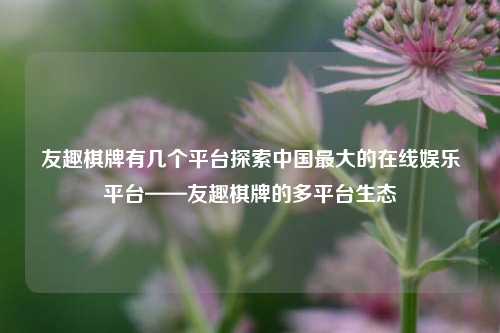 友趣棋牌有几个平台探索中国最大的在线娱乐平台——友趣棋牌的多平台生态