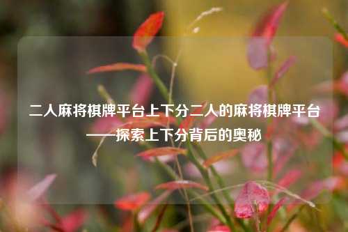 二人麻将棋牌平台上下分二人的麻将棋牌平台——探索上下分背后的奥秘