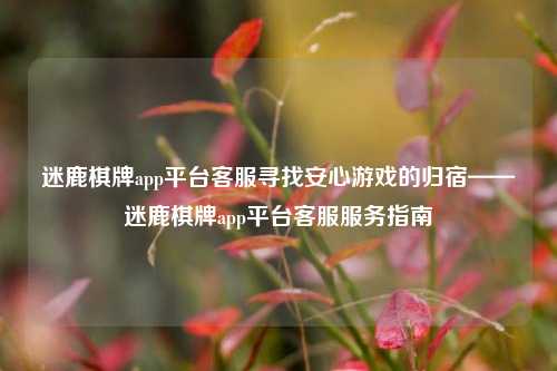 迷鹿棋牌app平台客服寻找安心游戏的归宿——迷鹿棋牌app平台客服服务指南