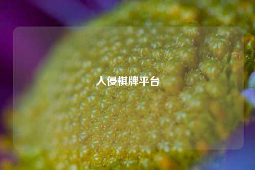 入侵棋牌平台