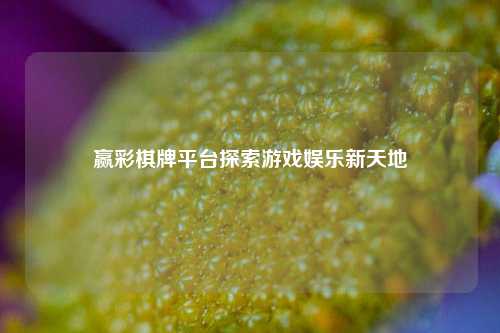 赢彩棋牌平台探索游戏娱乐新天地