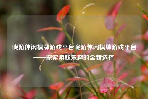 晓游休闲棋牌游戏平台晓游休闲棋牌游戏平台——探索游戏乐趣的全新选择