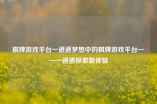 棋牌游戏平台一道道梦想中的棋牌游戏平台——一道道探索新体验
