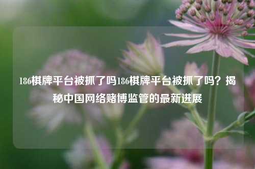 186棋牌平台被抓了吗186棋牌平台被抓了吗？揭秘中国网络赌博监管的最新进展