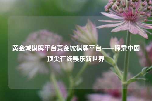 黄金城棋牌平台黄金城棋牌平台——探索中国顶尖在线娱乐新世界