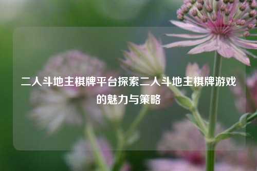 二人斗地主棋牌平台探索二人斗地主棋牌游戏的魅力与策略
