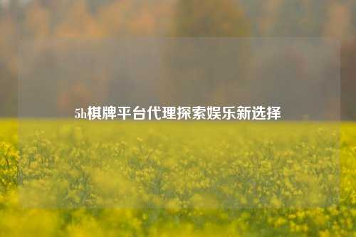 5h棋牌平台代理探索娱乐新选择