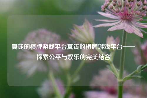 真钱的棋牌游戏平台真钱的棋牌游戏平台——探索公平与娱乐的完美结合