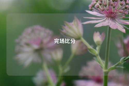 完场比分