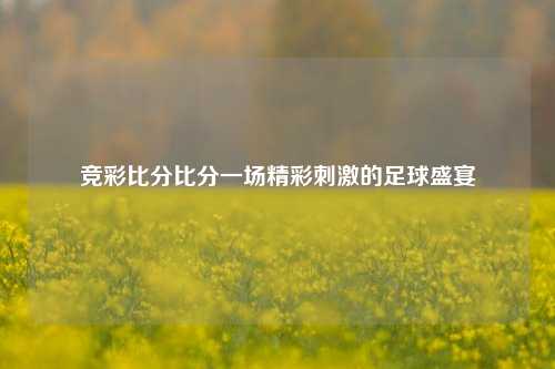竞彩比分比分一场精彩刺激的足球盛宴