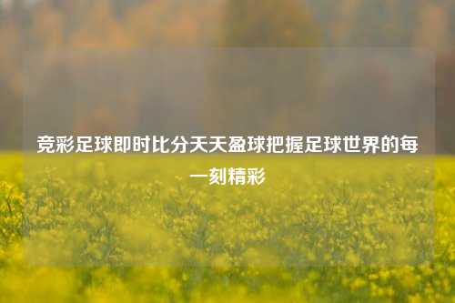 竞彩足球即时比分天天盈球把握足球世界的每一刻精彩
