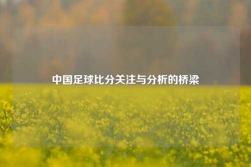 中国足球比分关注与分析的桥梁