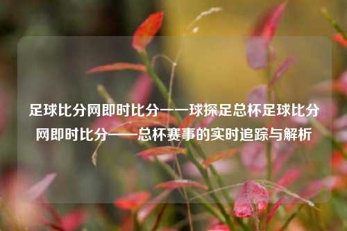 足球比分网即时比分一一球探足总杯足球比分网即时比分——总杯赛事的实时追踪与解析