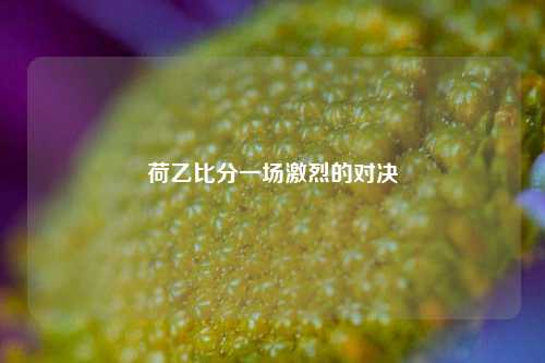 荷乙比分一场激烈的对决