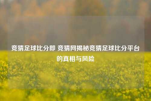竞猜足球比分即 竞猜网揭秘竞猜足球比分平台的真相与风险