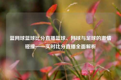篮网球篮球比分直播篮球、网球与足球的激情碰撞——实时比分直播全面解析