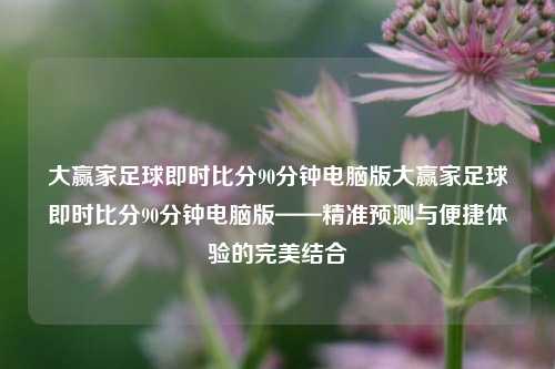 大赢家足球即时比分90分钟电脑版大赢家足球即时比分90分钟电脑版——精准预测与便捷体验的完美结合