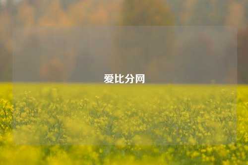 爱比分网