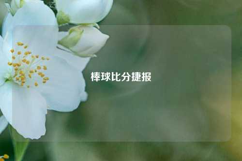 棒球比分捷报