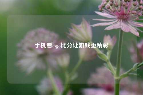 手机看csgo比分让游戏更精彩