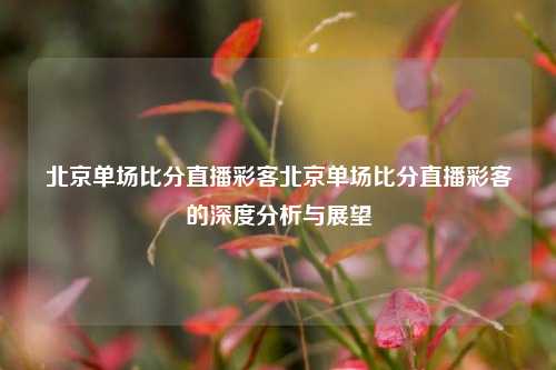 北京单场比分直播彩客北京单场比分直播彩客的深度分析与展望