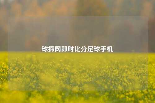 球探网即时比分足球手机