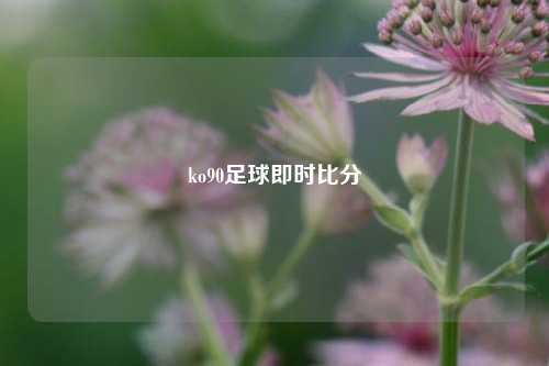 ko90足球即时比分