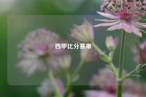 西甲比分赛果