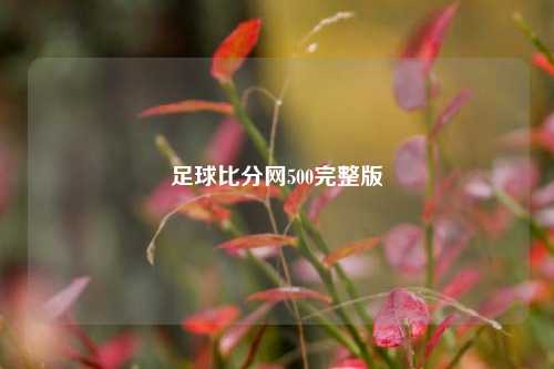 足球比分网500完整版