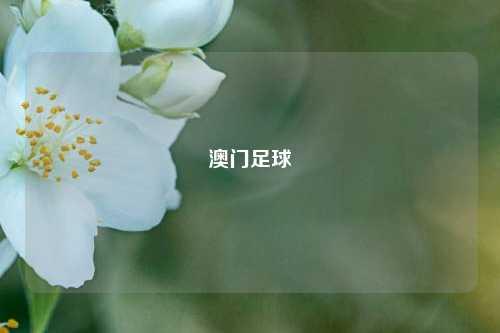澳门足球