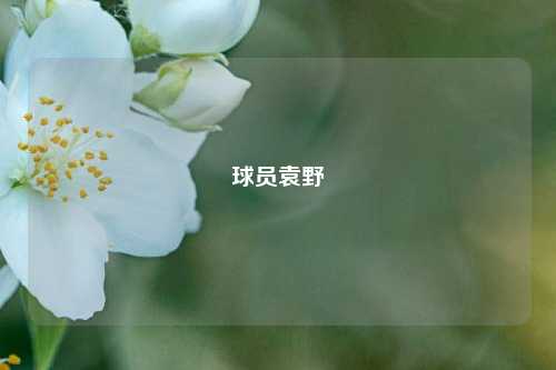 球员袁野