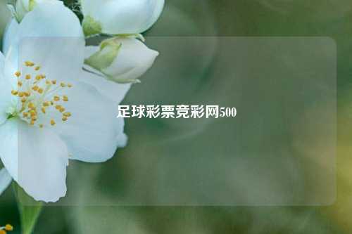 足球彩票竞彩网500