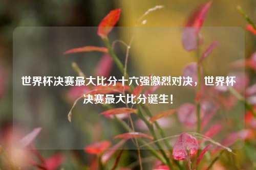 世界杯决赛最大比分十六强激烈对决，世界杯决赛最大比分诞生！