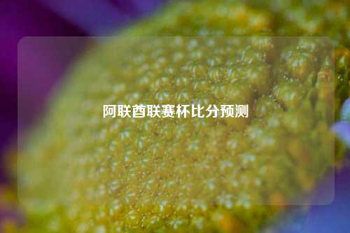 阿联酋联赛杯比分预测