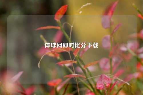 体球网即时比分下载