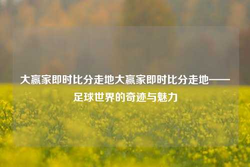 大赢家即时比分走地大赢家即时比分走地——足球世界的奇迹与魅力