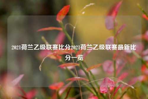 2021荷兰乙级联赛比分2021荷兰乙级联赛最新比分一览