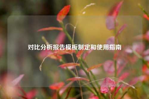 对比分析报告模板制定和使用指南