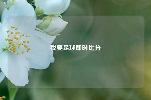 我要足球即时比分